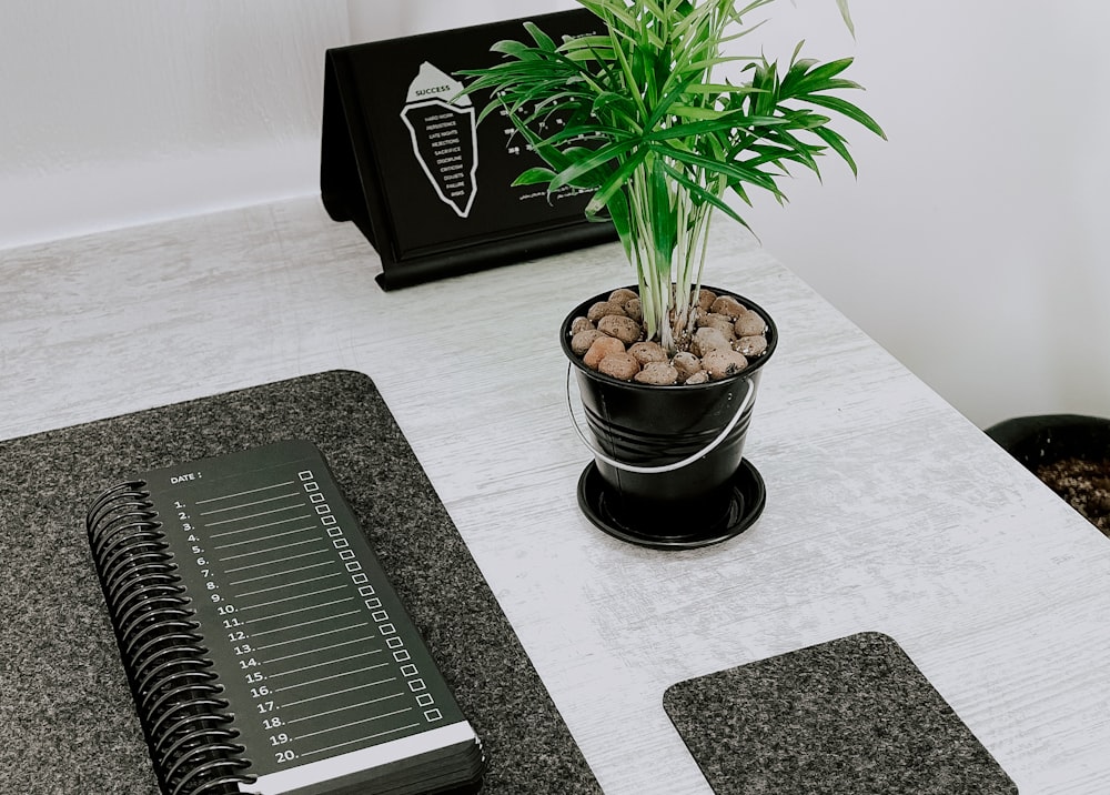 Minimalist photo of a clean desk with a single plant and a notebook.